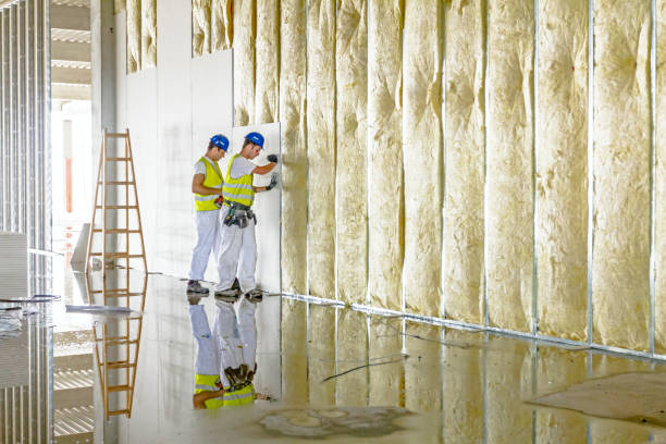 Best Commercial Insulation Services  in Honey Grove, TX